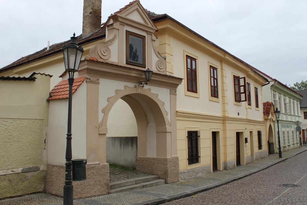 Apartment U Brany